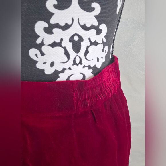 Vintage Merlot Deep Red Velour Skirt Sz 10 A Line Renaissance Dark Academia - Picture 6 of 10